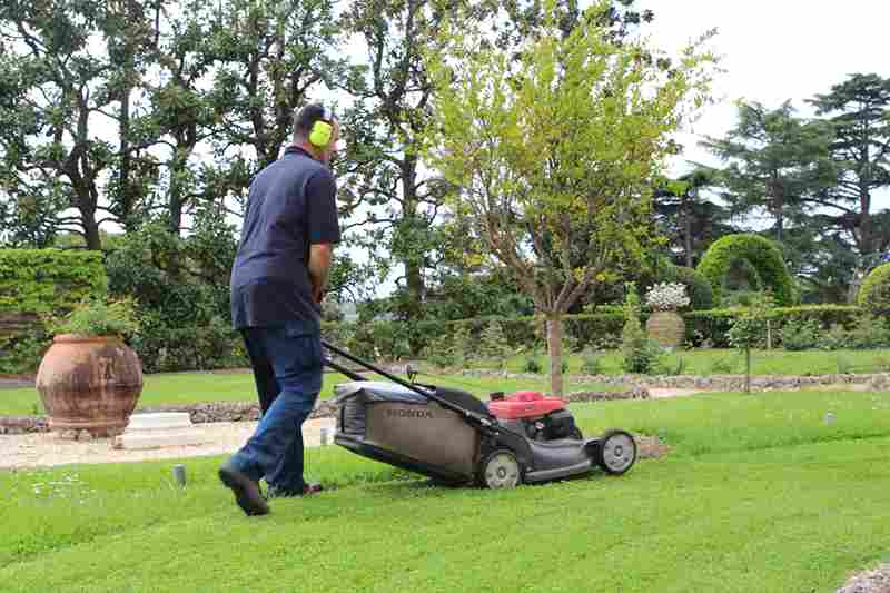 Reasons You Should Get Landscape Maintenance Services