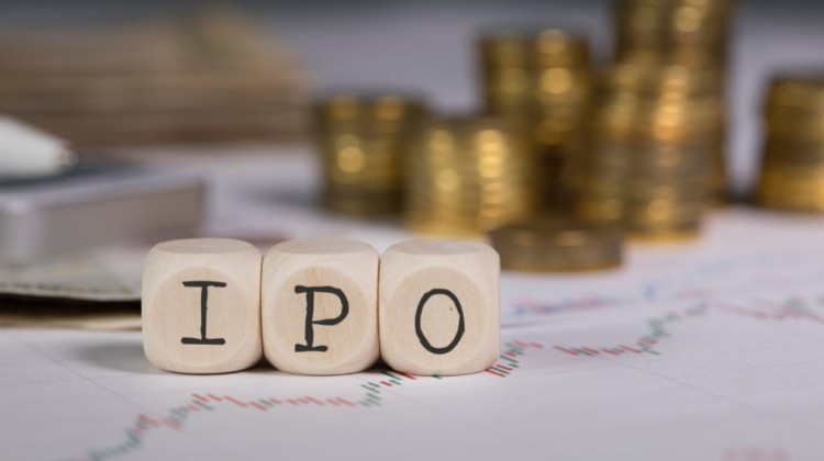How to Invest in an IPO Using a Demat Account?
